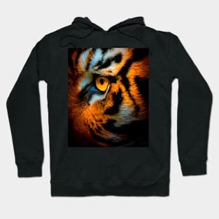 Tiger's Eye Hoodie